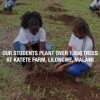 katete farm