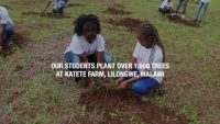 katete farm