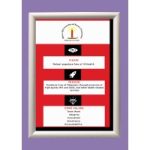 Malawi AIDS Counselling and Resource Organization (MACRO)