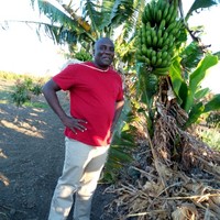 Root and Tuber Crops Development Trust
