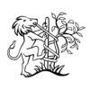 The Lilongwe Institute of Orthopaedics and Neurosurgery (LION)