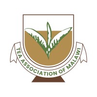 Tea Association of Malawi